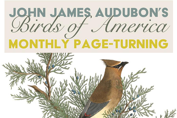 John James Audubon's Birds of America, monthly page turning.