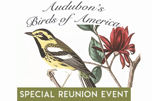 Audubon's Birds of America, Special Reunion Event.