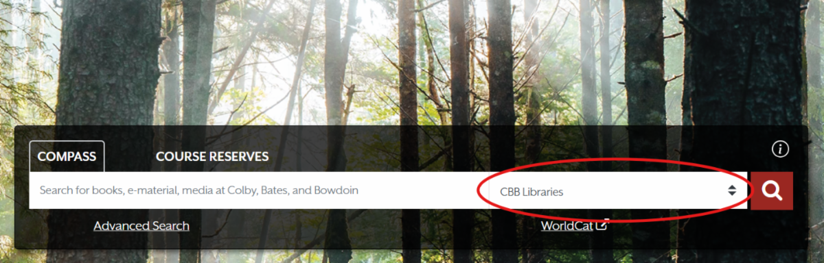 Library home page search box