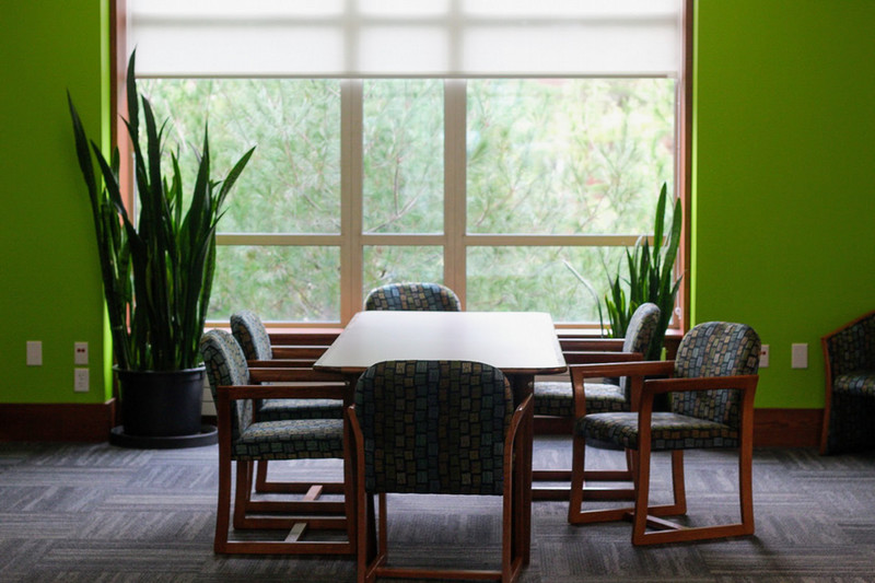 One of the meeting tables on Hatch's second floor, with empty chairs around it and trees slightly out of focus through the window. The walls are lime green.