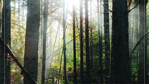 image linked to event page