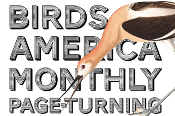 page-turning event